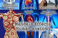 Mandela Effect: Human Ana