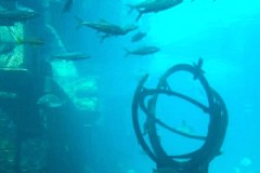 Remembering our past